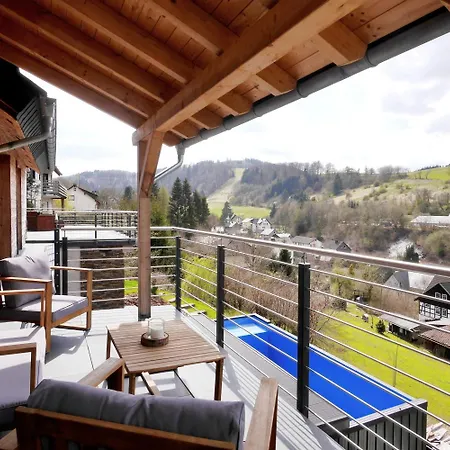 Alte Försterei - Komfort-fewo Hochsitz Mit Pool&sauna Willingen (Upland)
