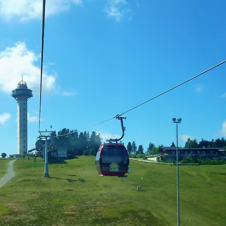 Apartment Alte Försterei - Komfort-fewo Hochsitz Mit Pool&sauna Willingen (Upland)