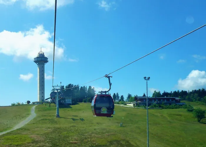 Apartman Alte Foersterei - Komfort-fewo Hochsitz Mit Pool & Sauna Willingen